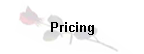 Pricing